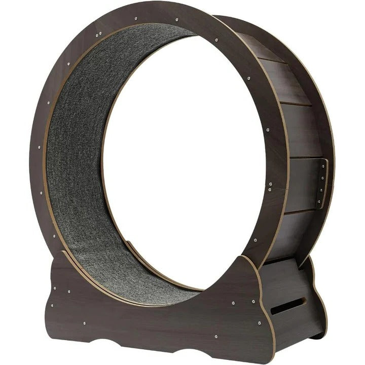 BowLift | Cat Exercise Wheel