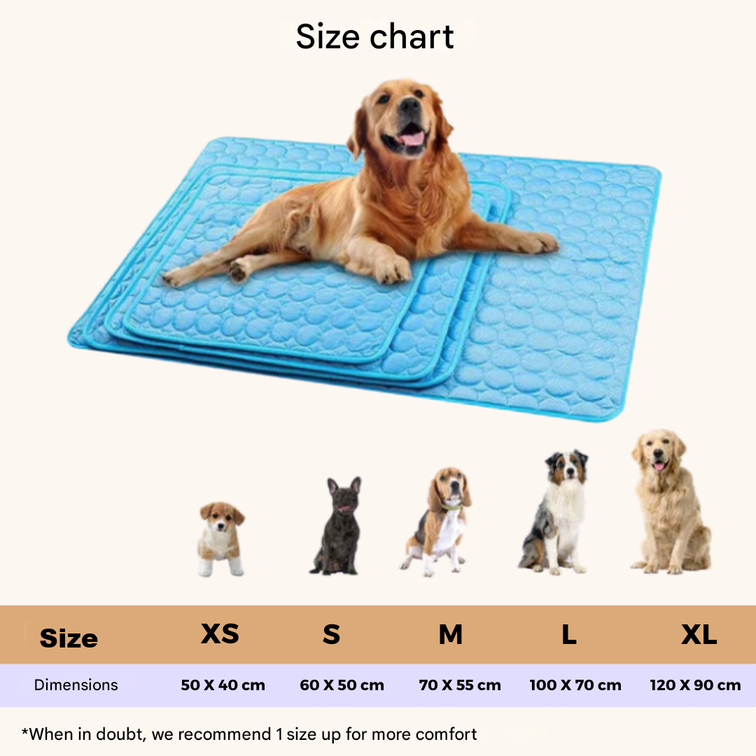 BowLift | Innovative Cooling Mat for Dogs (4x Cooling Power) - ChillComfort