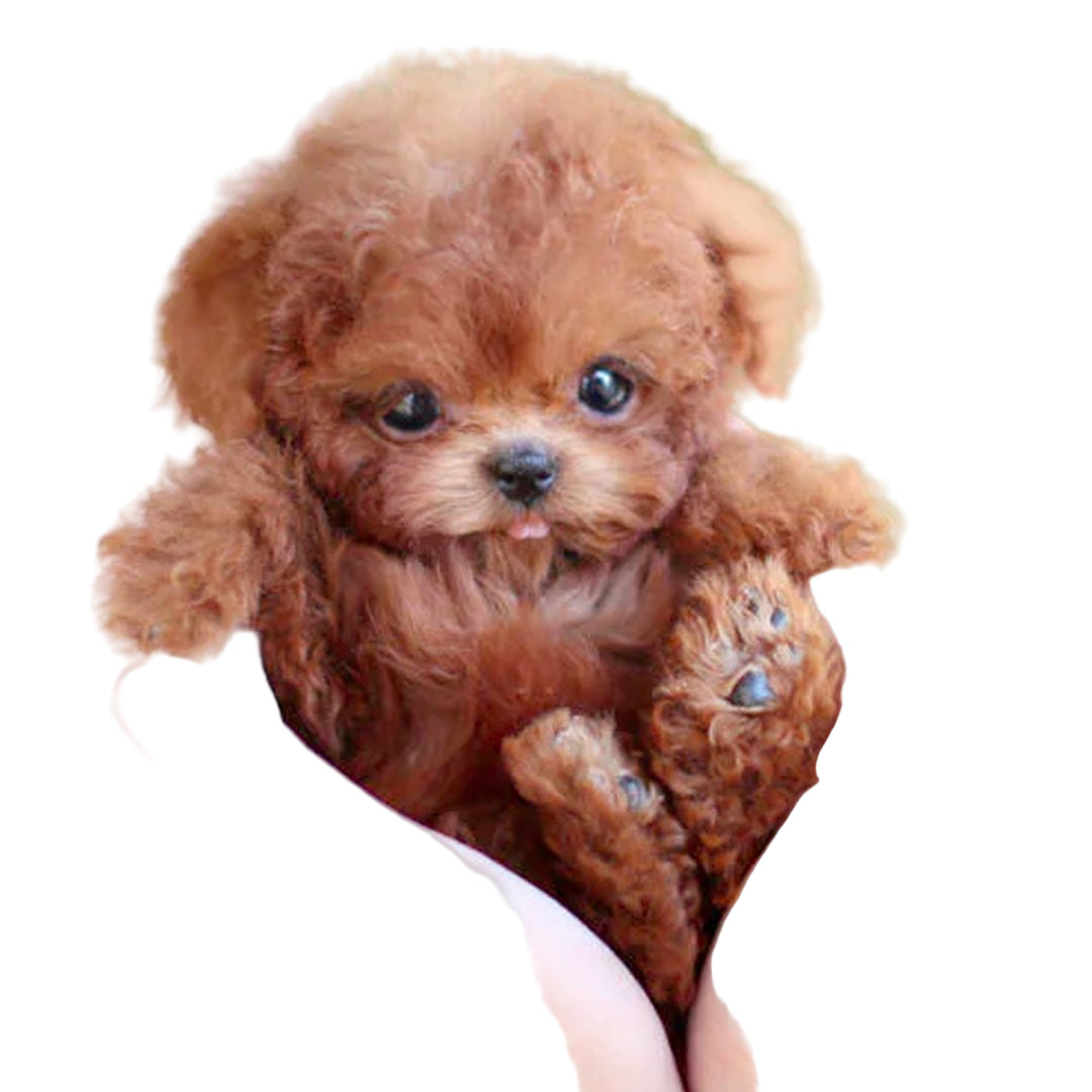 BowLift | Interactive Realistic Plush Puppy with Movement Features