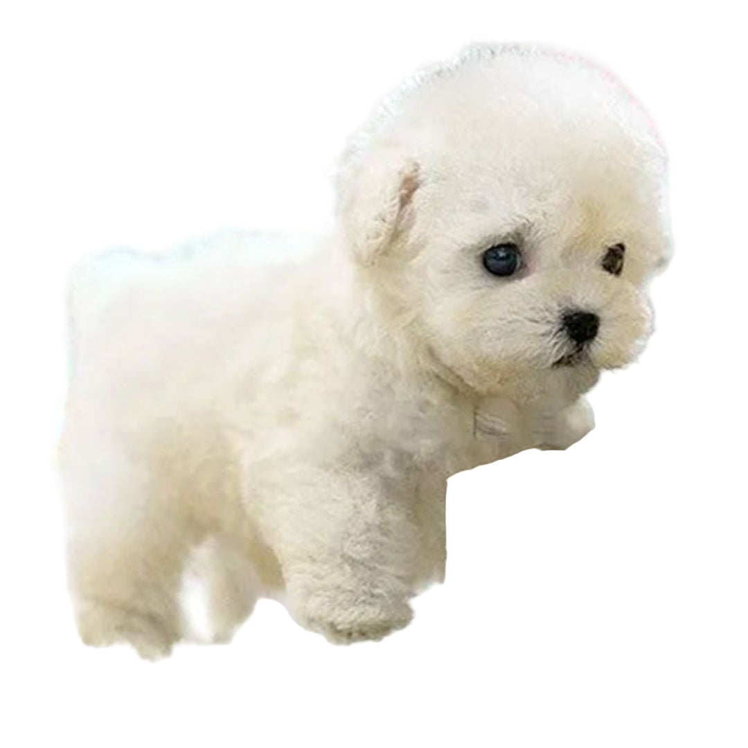 BowLift | Interactive Realistic Plush Puppy with Movement Features
