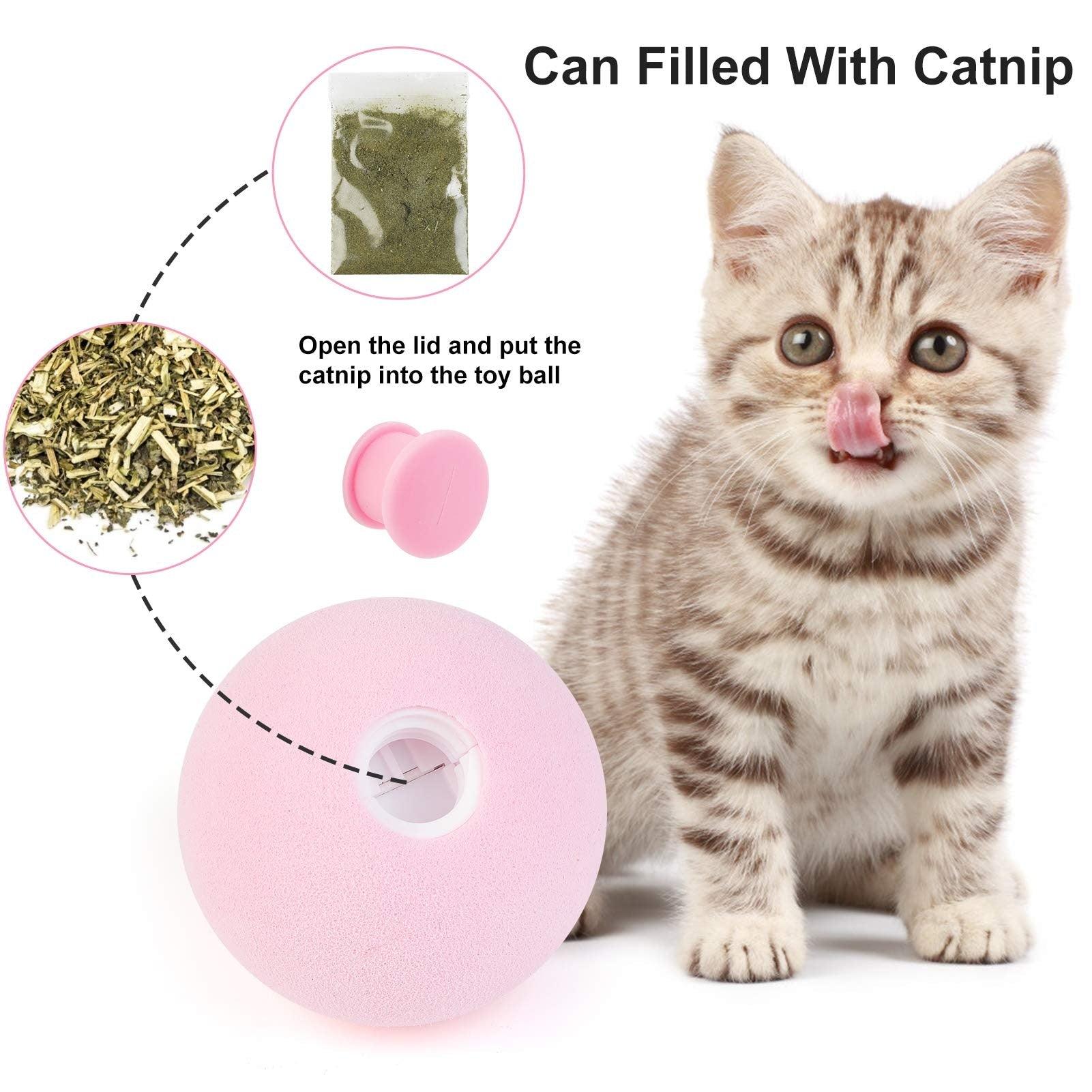 BowLift | Interactive Smart Cat Toy