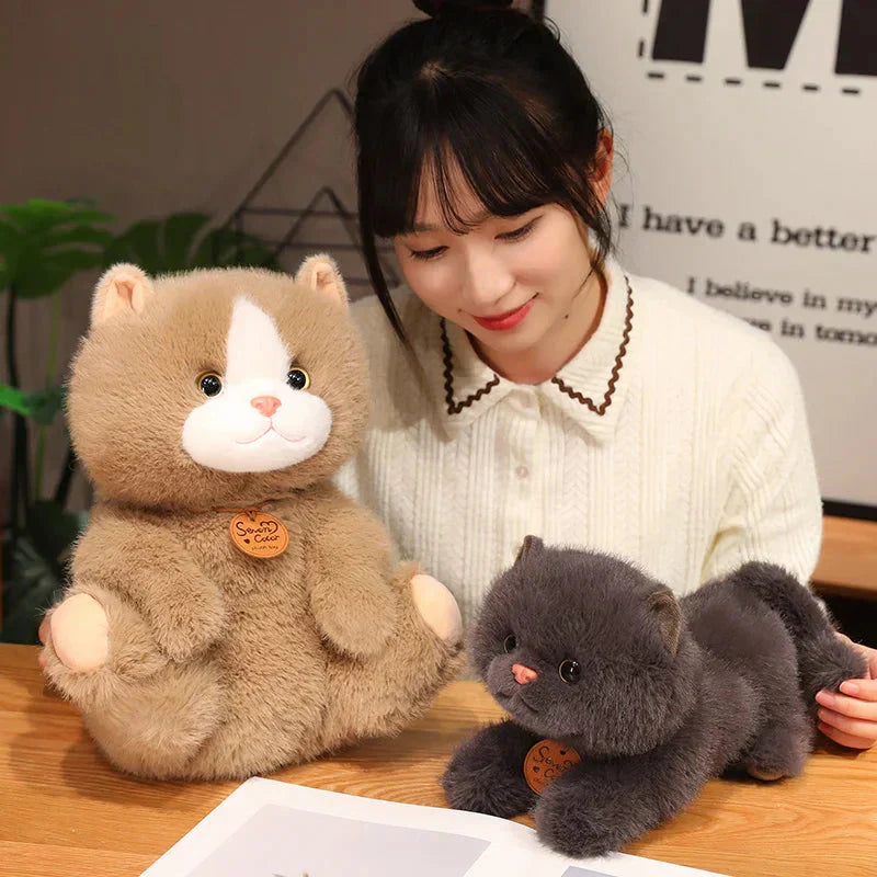 BowLift | Fluffy Kitten Squad Plushies