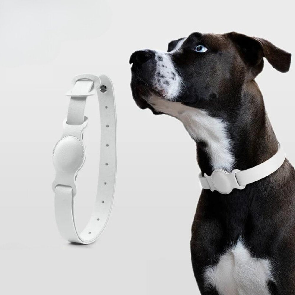 LuxeLeather • AirTag Dog Collar - AirTag Dog Collar - BowLift