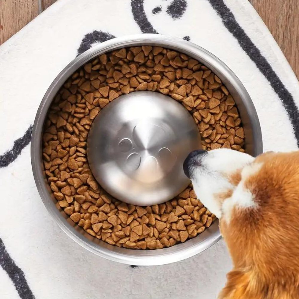 MealPace • Dog Feeding Bowl Slow - Dog Feeding Bowl Slow - BowLift