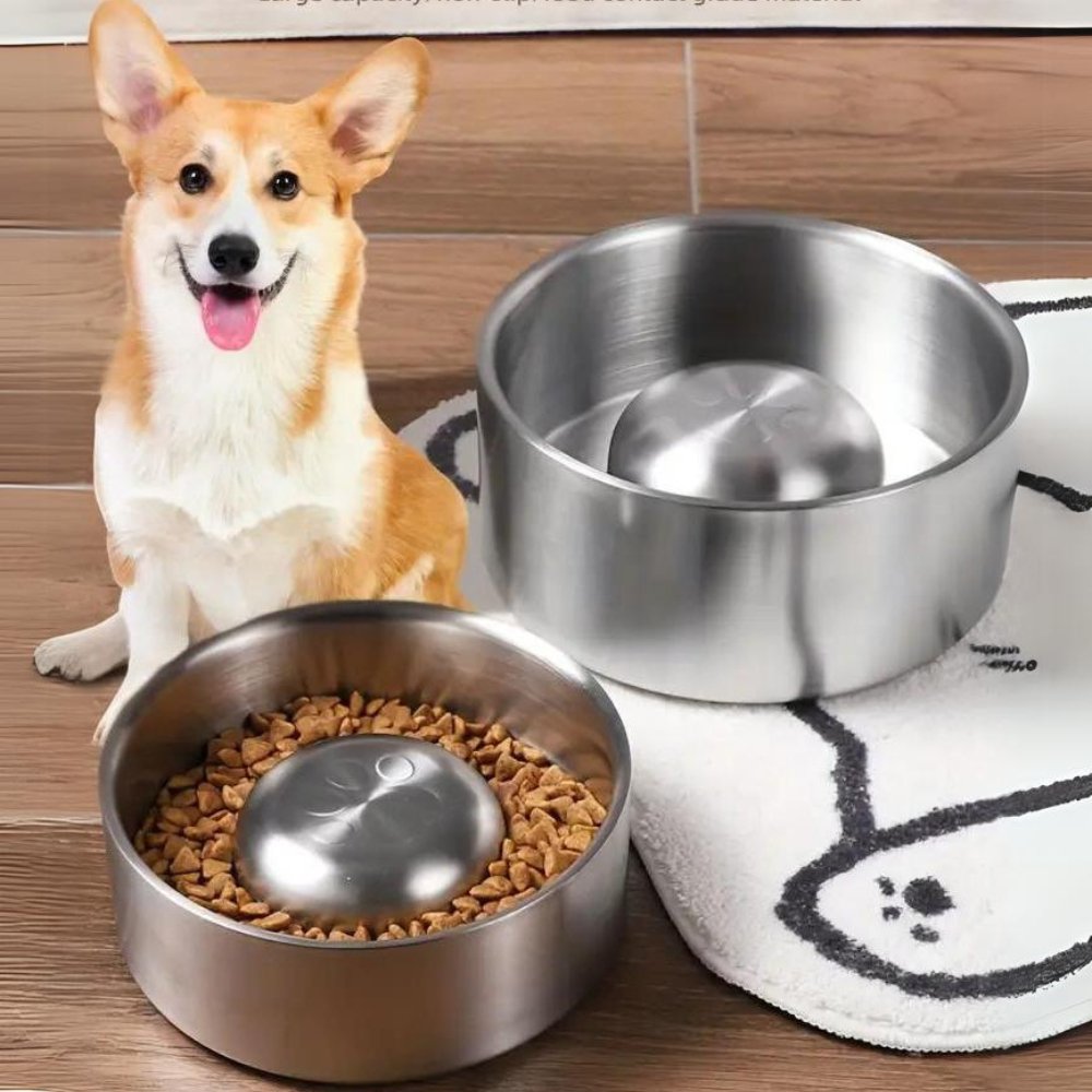 MealPace • Dog Feeding Bowl Slow - Dog Feeding Bowl Slow - BowLift