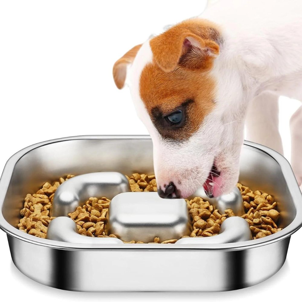 MightyBite • Dog Feeding Bowl Slow - Dog Feeding Bowl Slow - BowLift