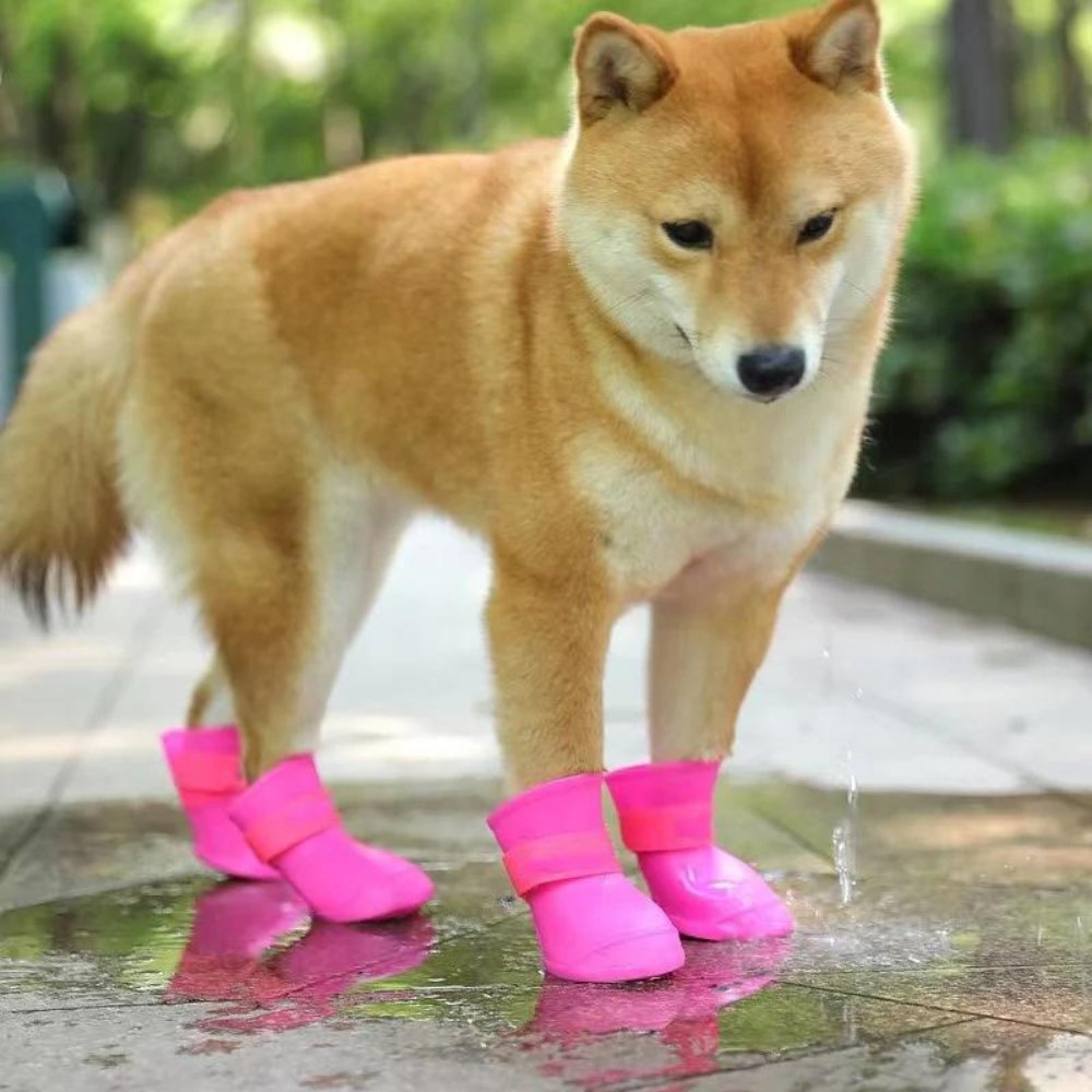 Pawsafe • Waterproof Dog Boots - Waterproof Dog Boots - BowLift