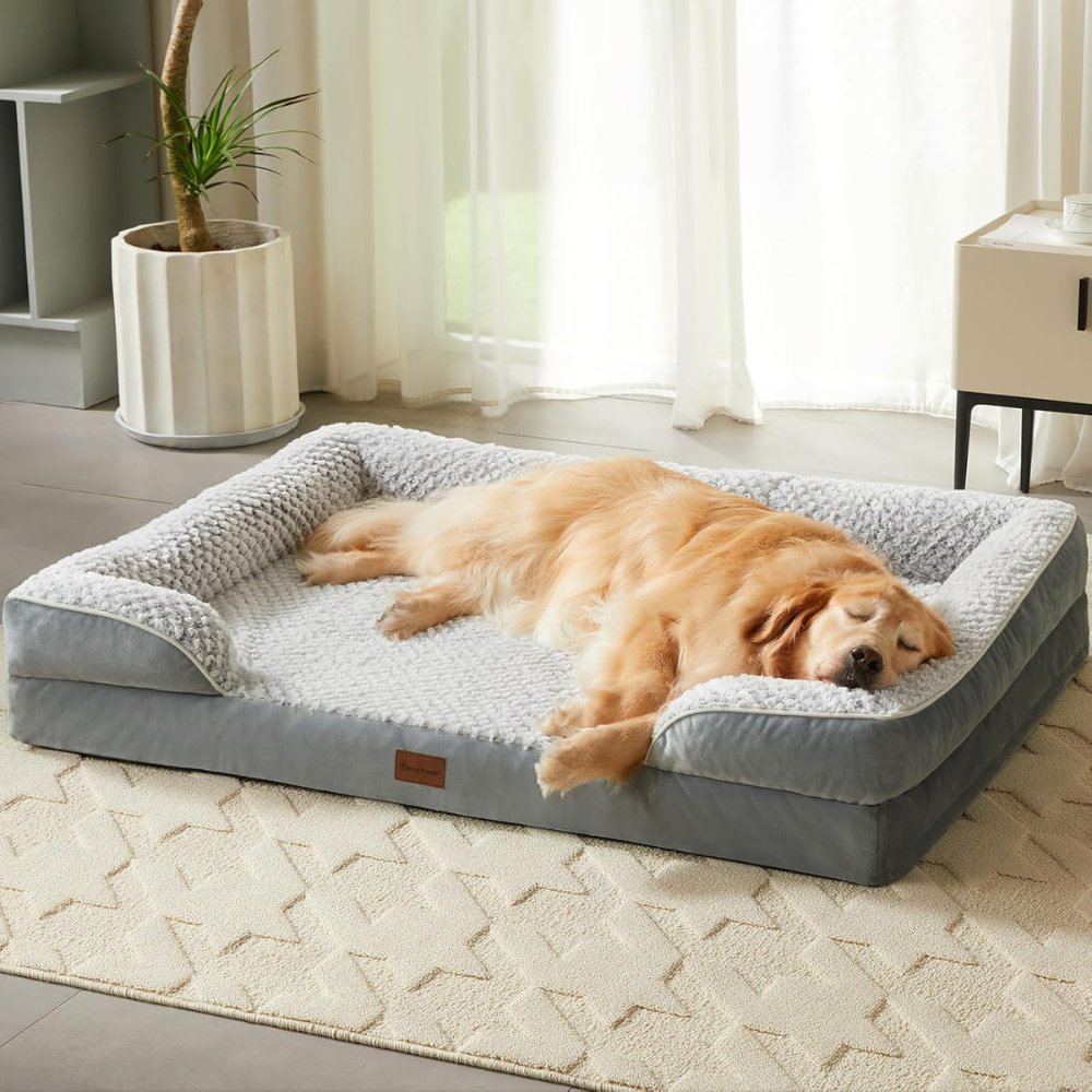 PawsEase • Orthopedic Dog Bed - Dog Bed - BowLift