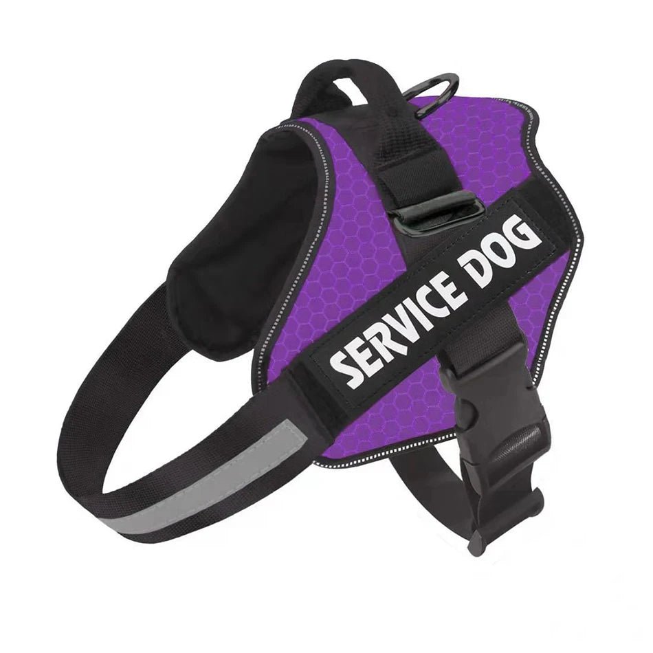 PawsFit • No Pull Dog Harness - No Pull Dog Harness - BowLift