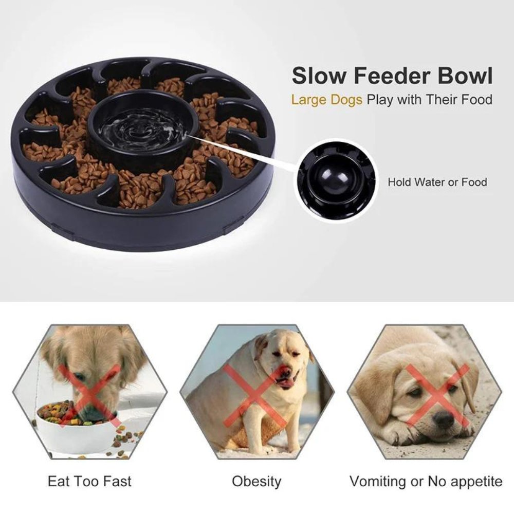 PawSlow • Dog Feeding Bowl Slow - Dog Feeding Bowl Slow - BowLift