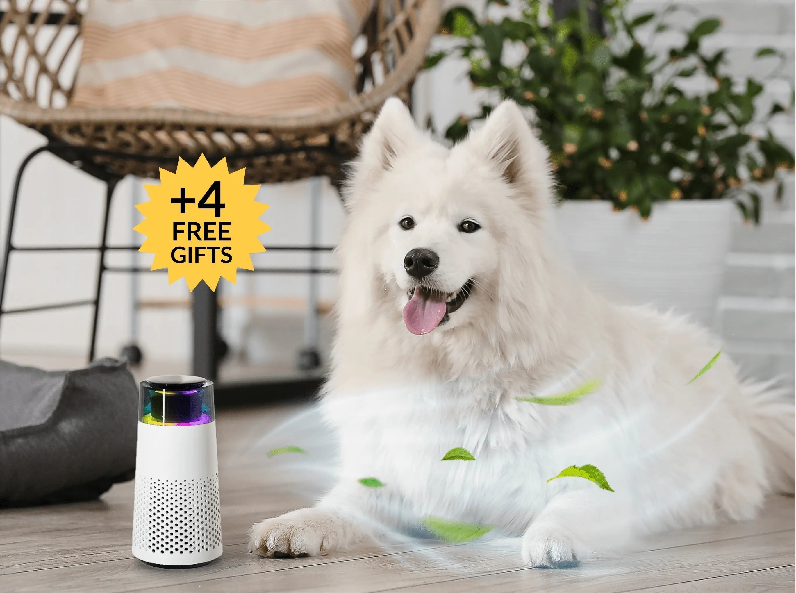 BowLift | Pet Odour Humidifier – PetFresh