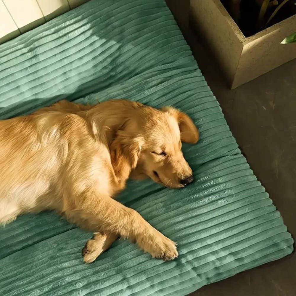 PetHeaven • Oversized Corduroy Bed - Dog Bed - BowLift