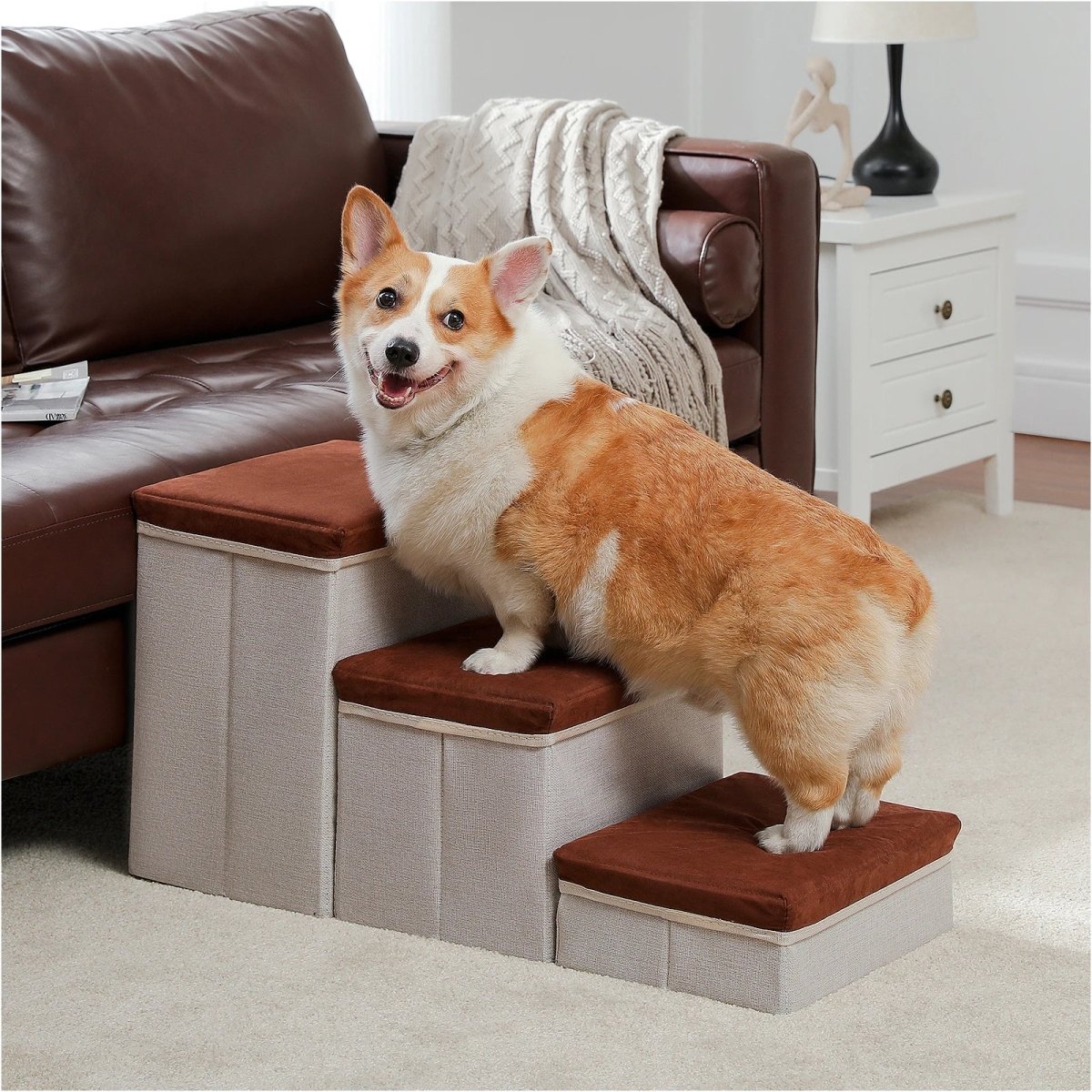 PetLift • 2 - in - 1 Foldable Dog Stairs & Storage Ladder - Dog Stairs - BowLift