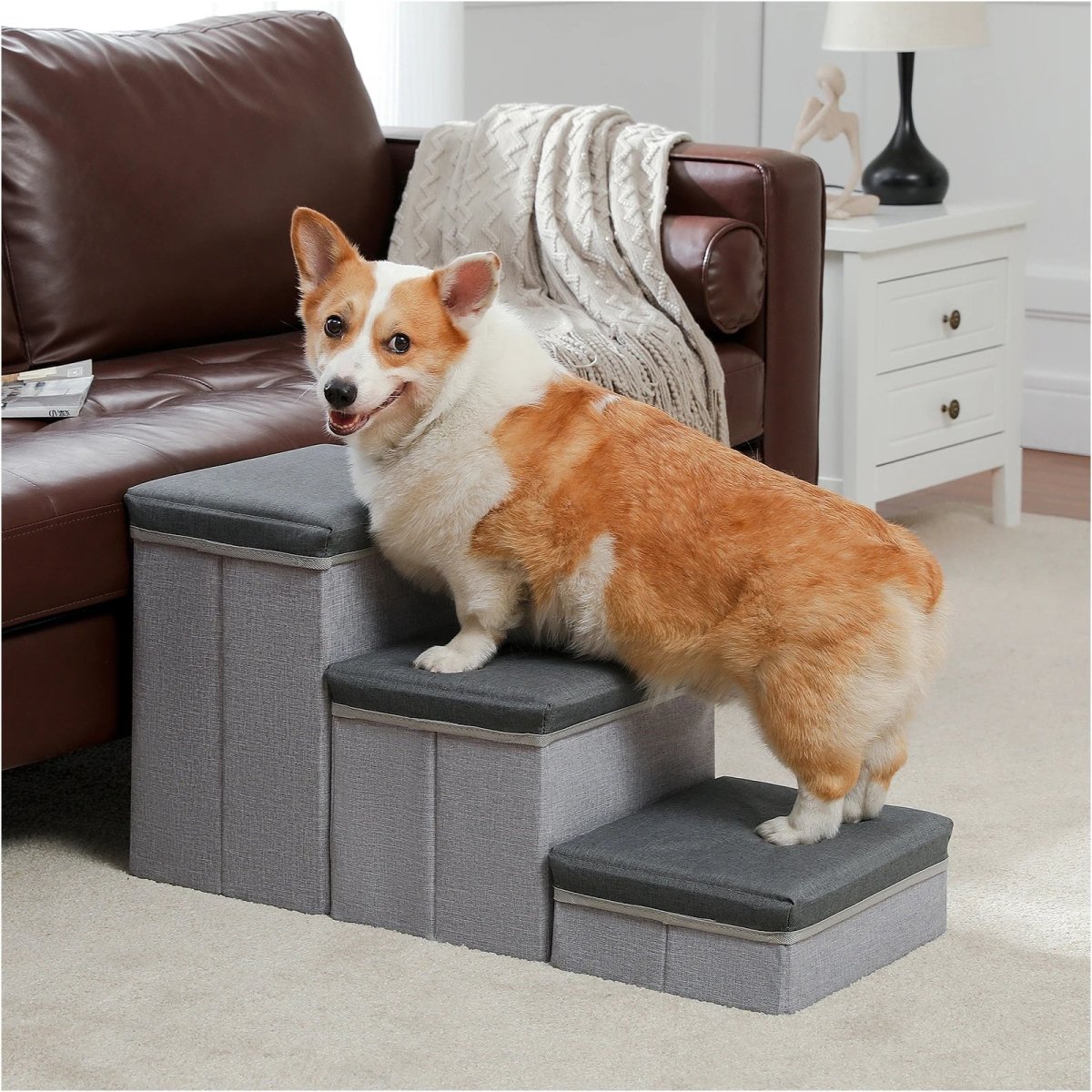 PetLift • 2 - in - 1 Foldable Dog Stairs & Storage Ladder - Dog Stairs - BowLift