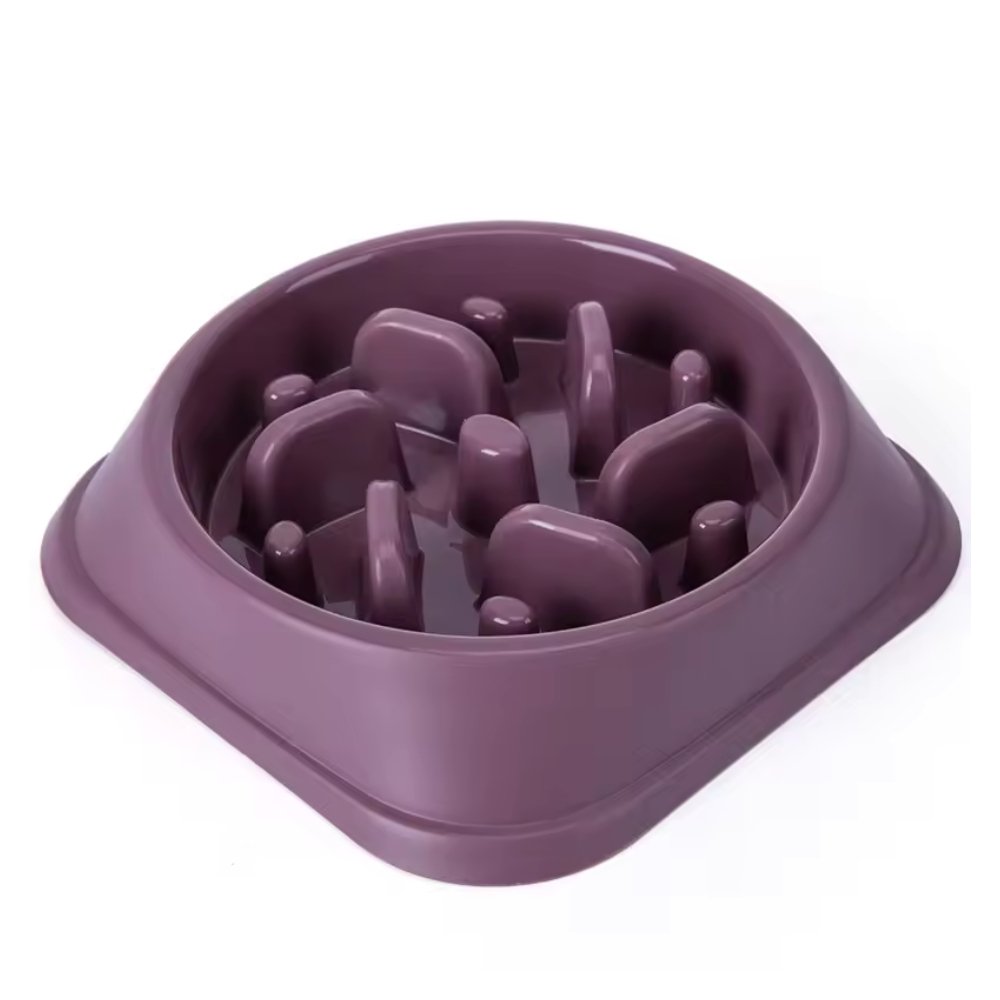 PetPace • Dog Feeding Bowl Slow - Dog Feeding Bowl Slow - BowLift