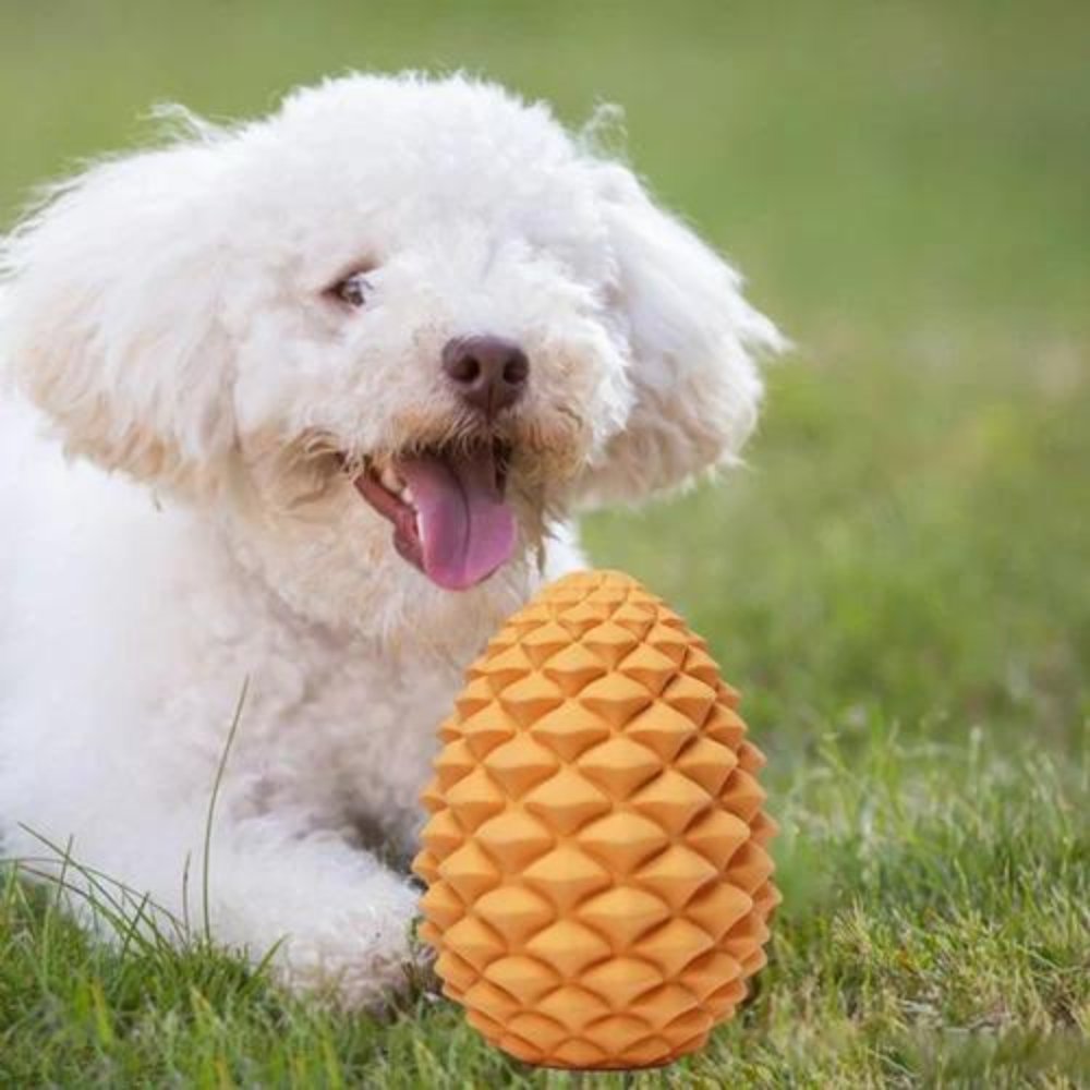 PineCone • Interactive Rubber Dog Toy - Interactive Rubber Dog Toy - BowLift