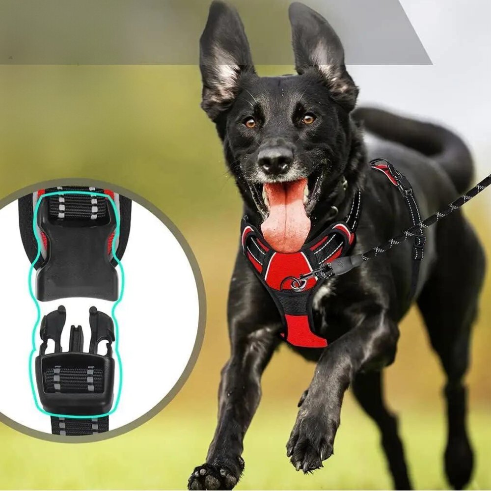 PowerPaw • No Pull Dog Harness - No Pull Dog Harness - BowLift