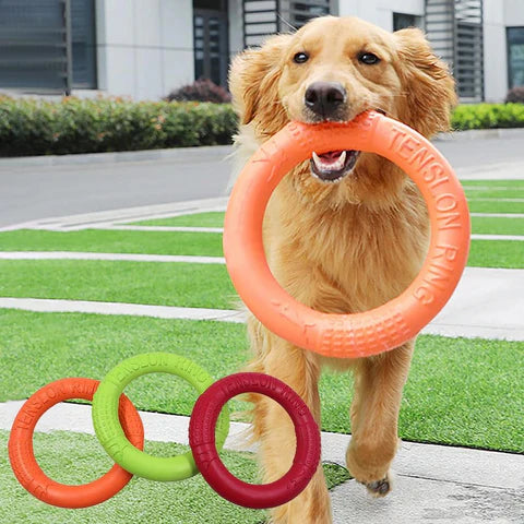 AeroFetch • Interactive Dog Toy