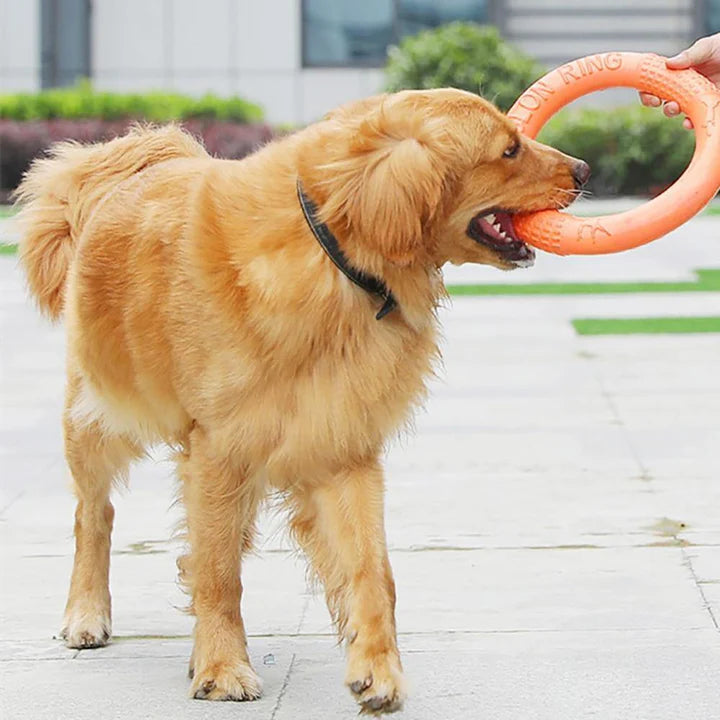 AeroFetch • Interactive Dog Toy