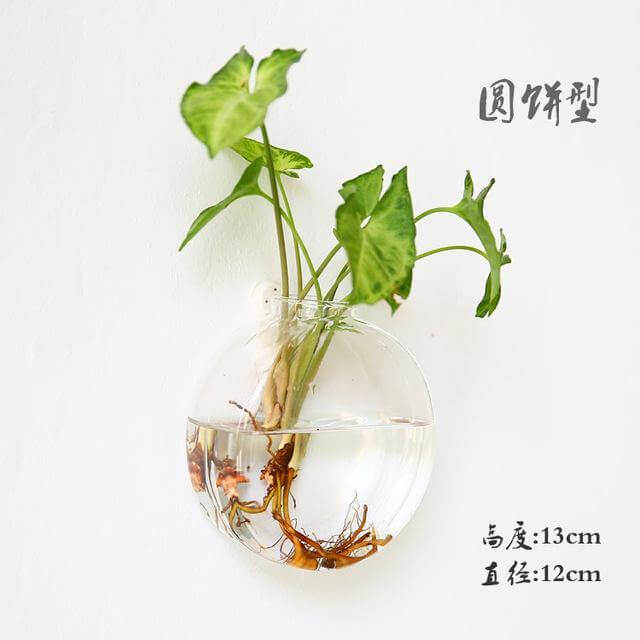 BowLift | Handmade  New Hexagonal  Wall Clear Terrarium Vase