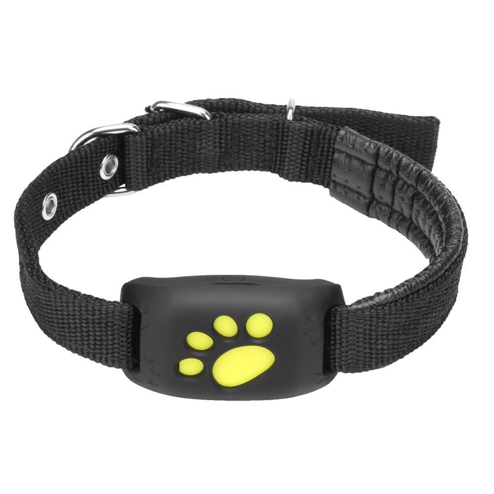 BowLift | GPS Dog Collar