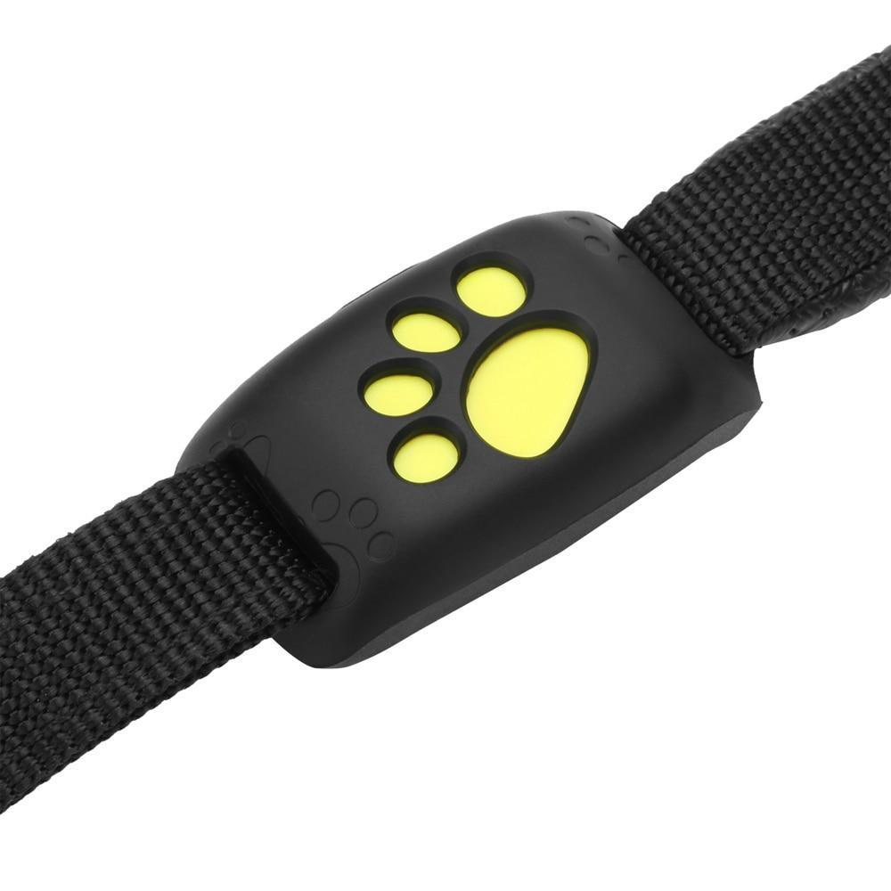 BowLift | GPS Dog Collar