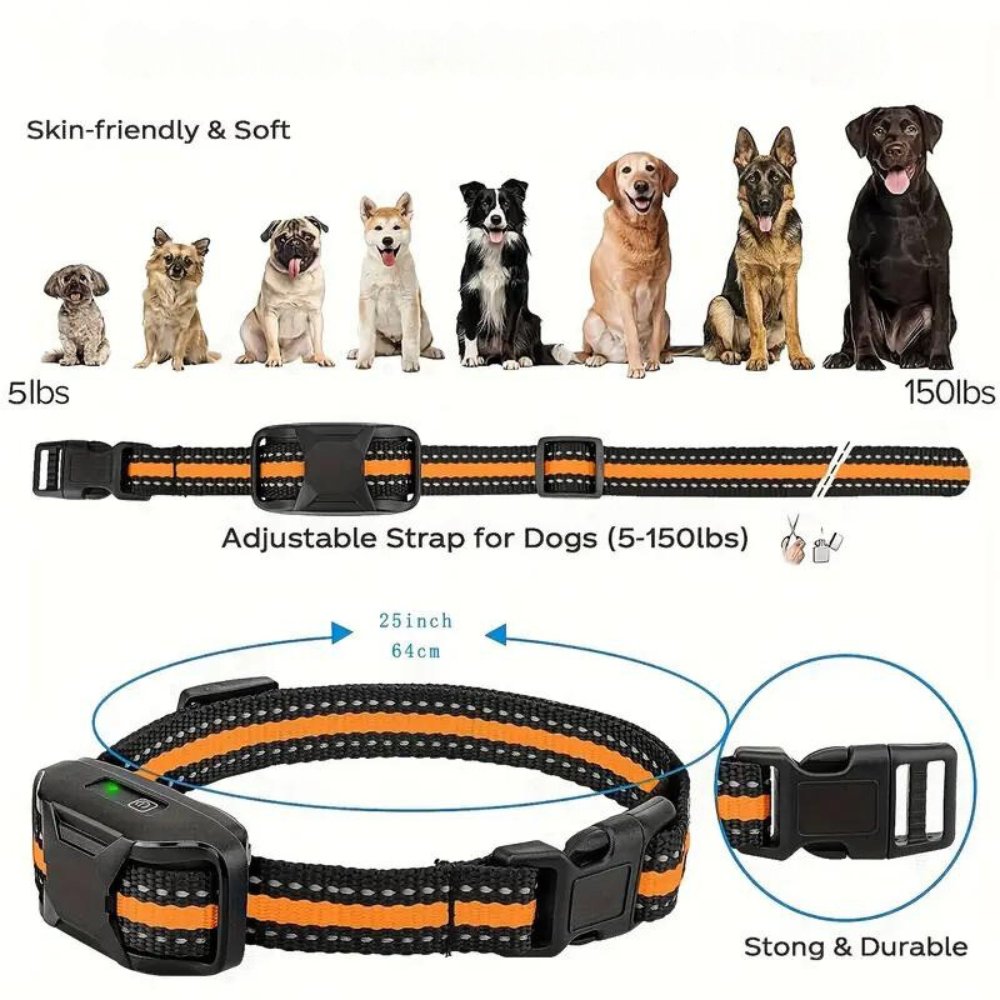 ProTrain • Dog Training Collar - Dog Training Collar - BowLift