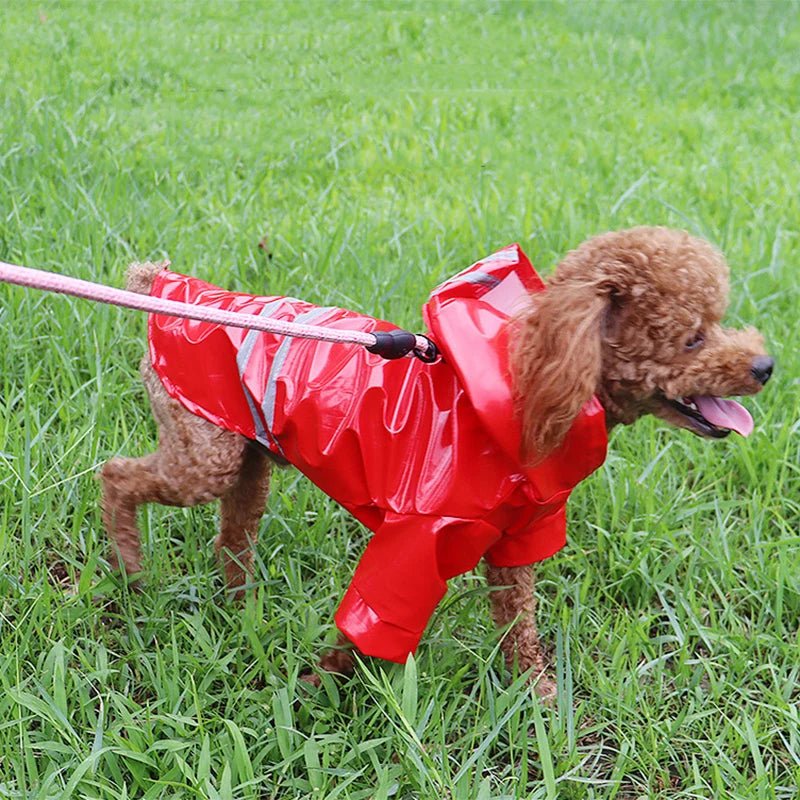 PupShield • Reflective Raincoat - Reflective Raincoat - BowLift