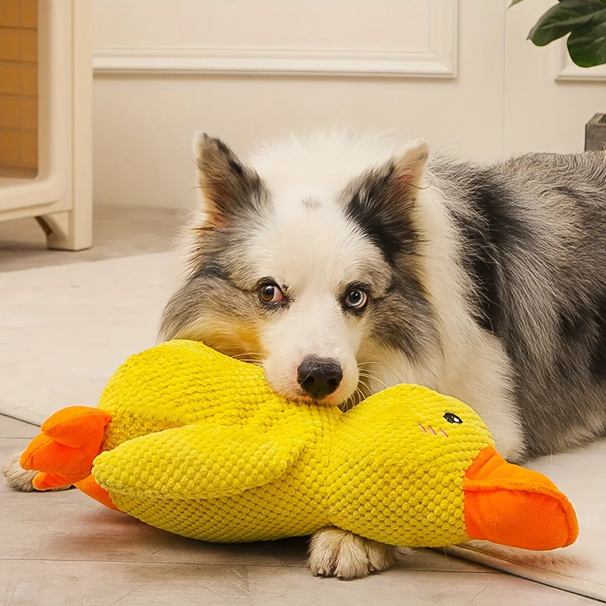 QuackyPaws • The Calming Duck - Calming Duck Dog Toy - BowLift