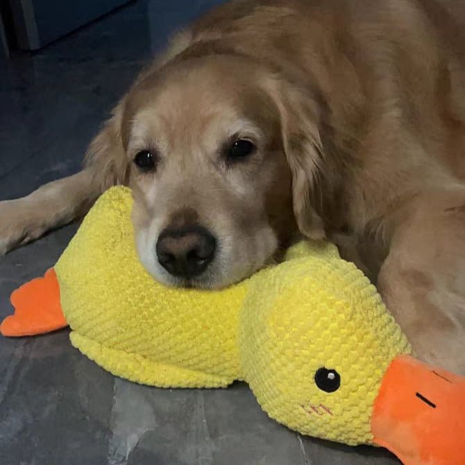 QuackyPaws • The Calming Duck - Calming Duck Dog Toy - BowLift