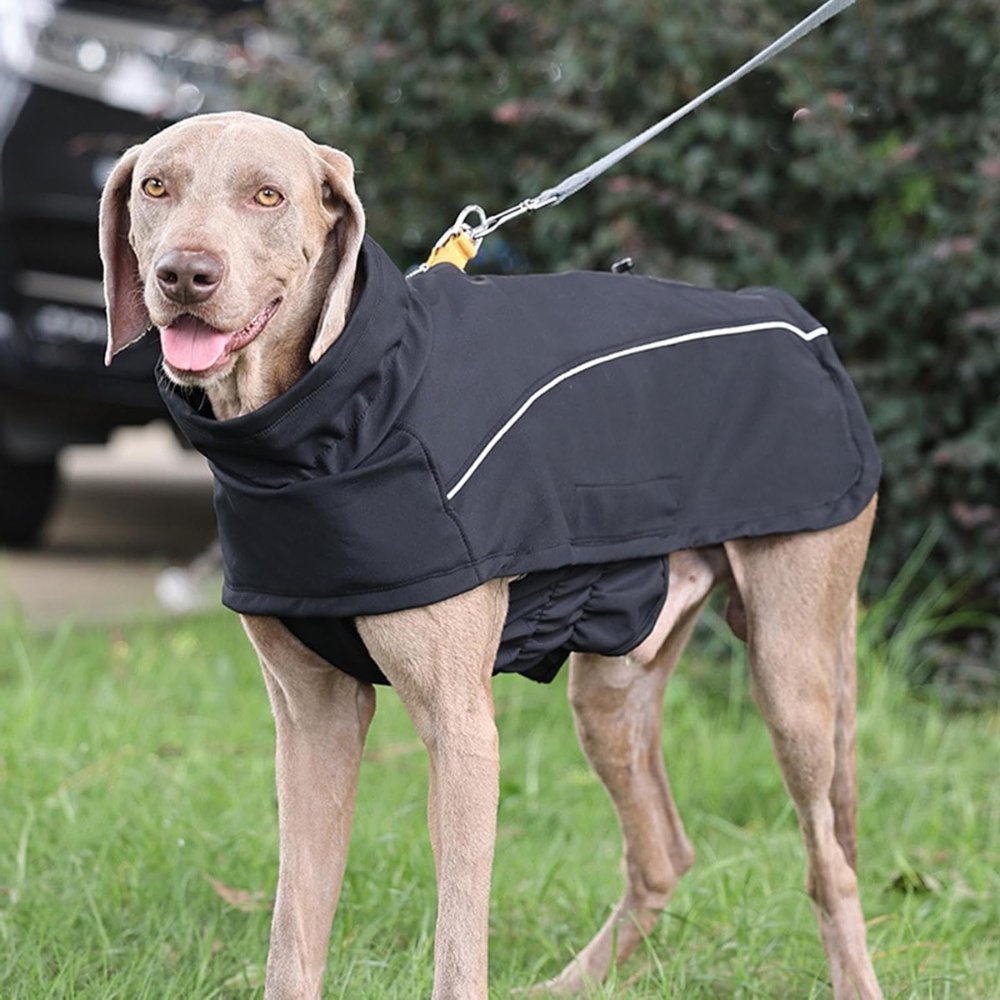 RainGuard • Softshell Dog Raincoat - Dog Raincoat - BowLift