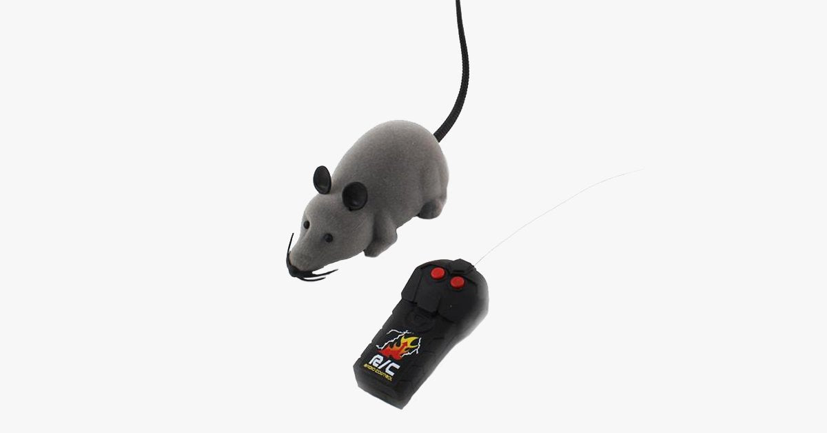 BowLift | Electronic RC Rat Mouse Toy for Pet Cats
