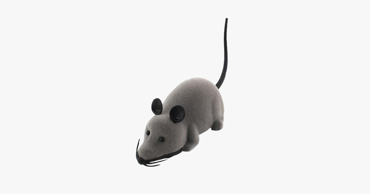 BowLift | Electronic RC Rat Mouse Toy for Pet Cats