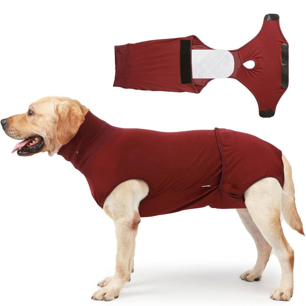 RecoverEase • Professional Dog Recovery Suit - Dog Recovery Suit - BowLift