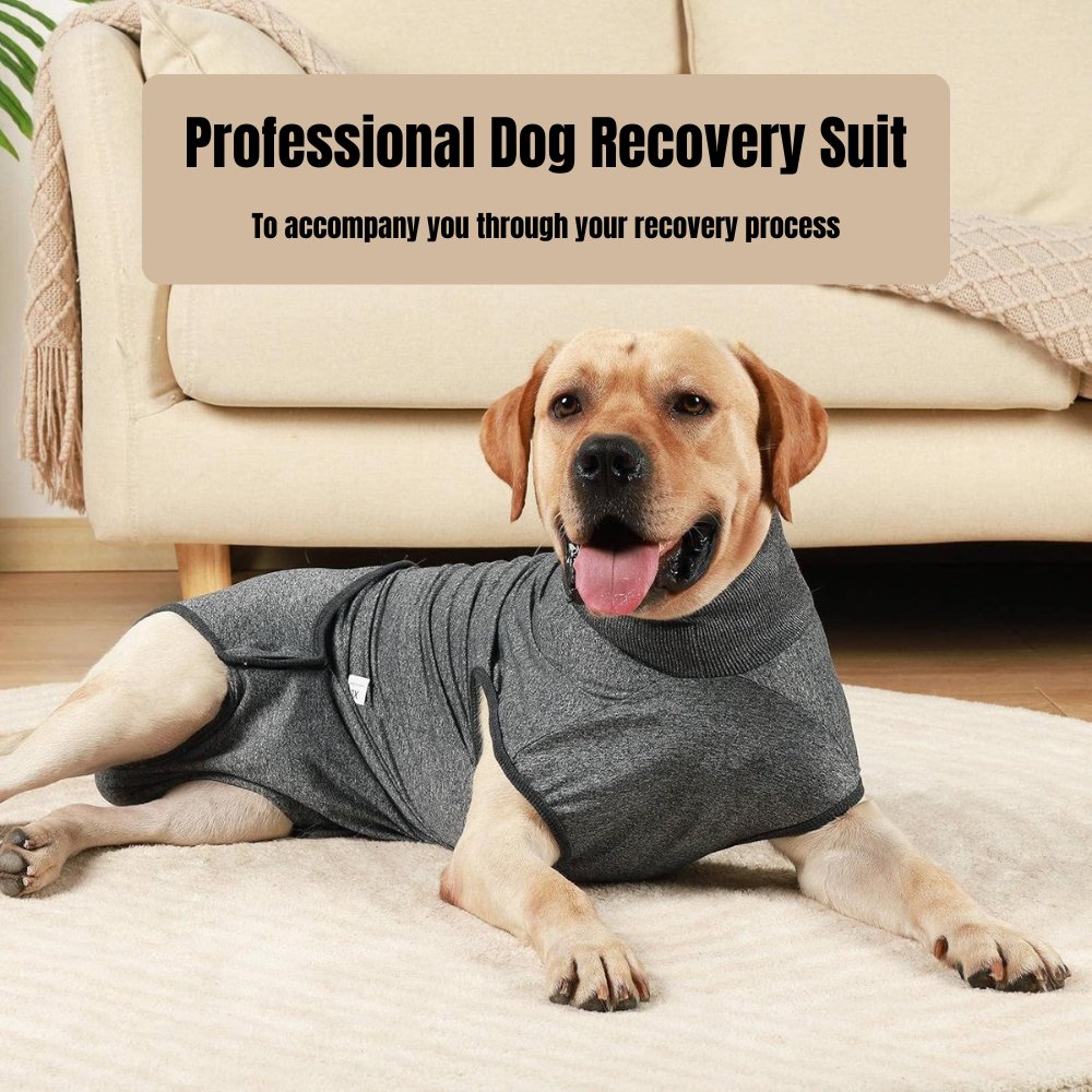 RecoverEase • Professional Dog Recovery Suit - Dog Recovery Suit - BowLift