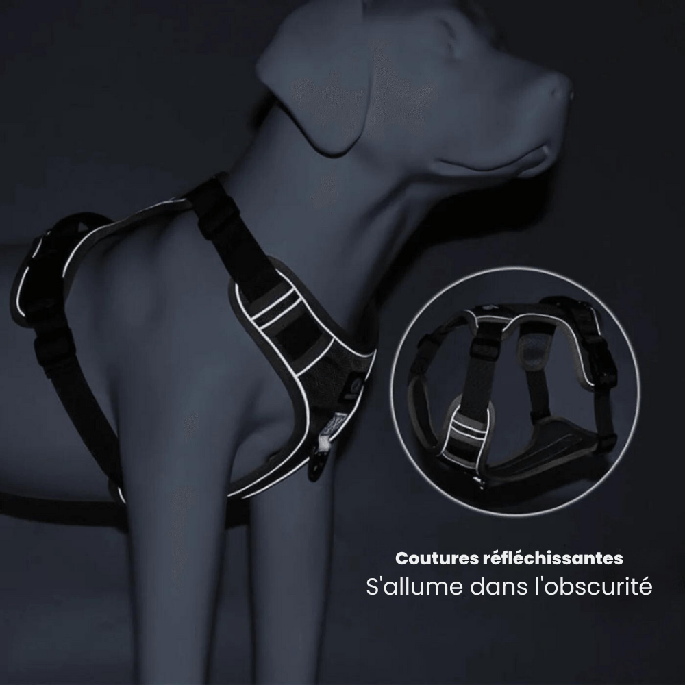 PawsControl - The Ultimate No Pull Dog Harness