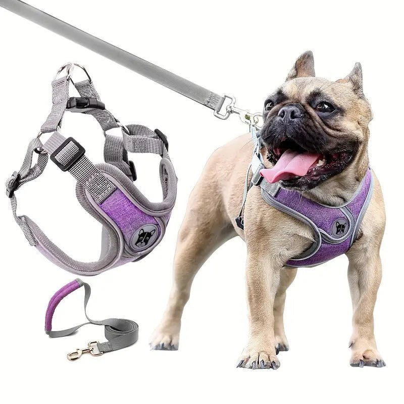 ReflectoLeash • No Pull Dog Harness - No Pull Dog Harness - BowLift