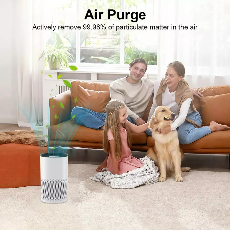 BowLift | Compact Air Purifier | True HEPA Filter, Ultra-Quiet & Ideal for Small to Medium Rooms
