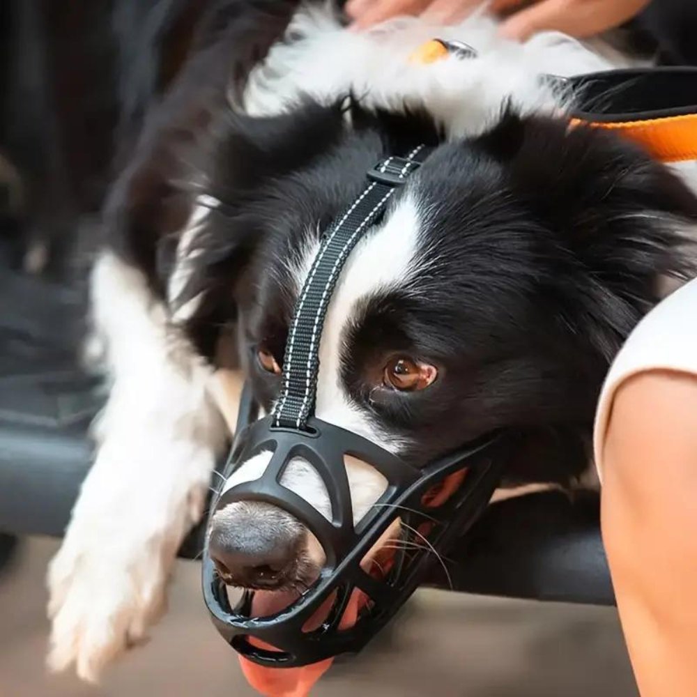 SafeBark • Dog Muzzle - Dog Muzzle - BowLift