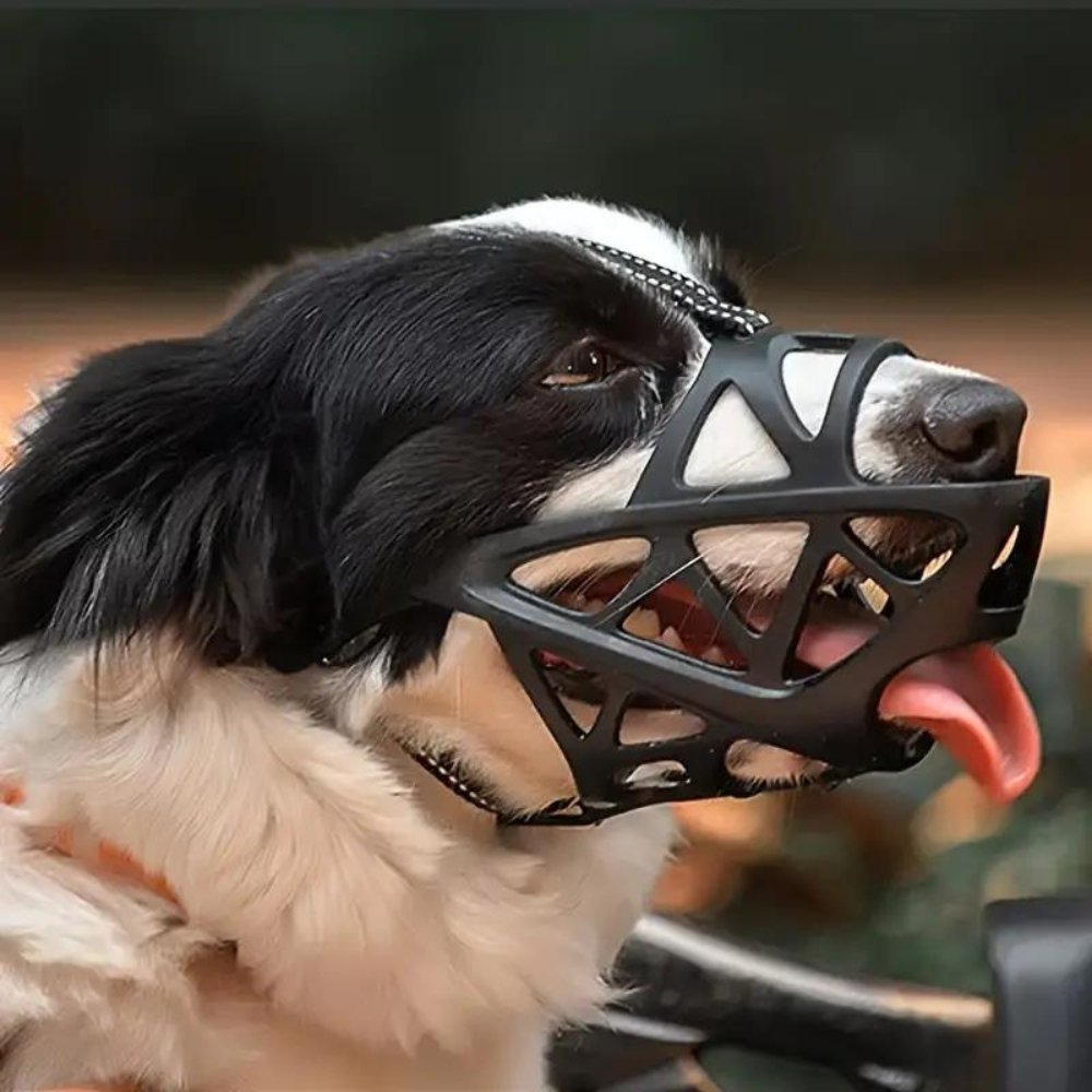 SafeBark • Dog Muzzle - Dog Muzzle - BowLift