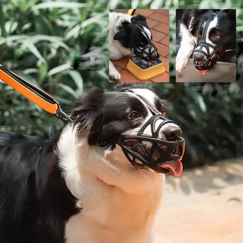 SafeBark • Dog Muzzle - Dog Muzzle - BowLift