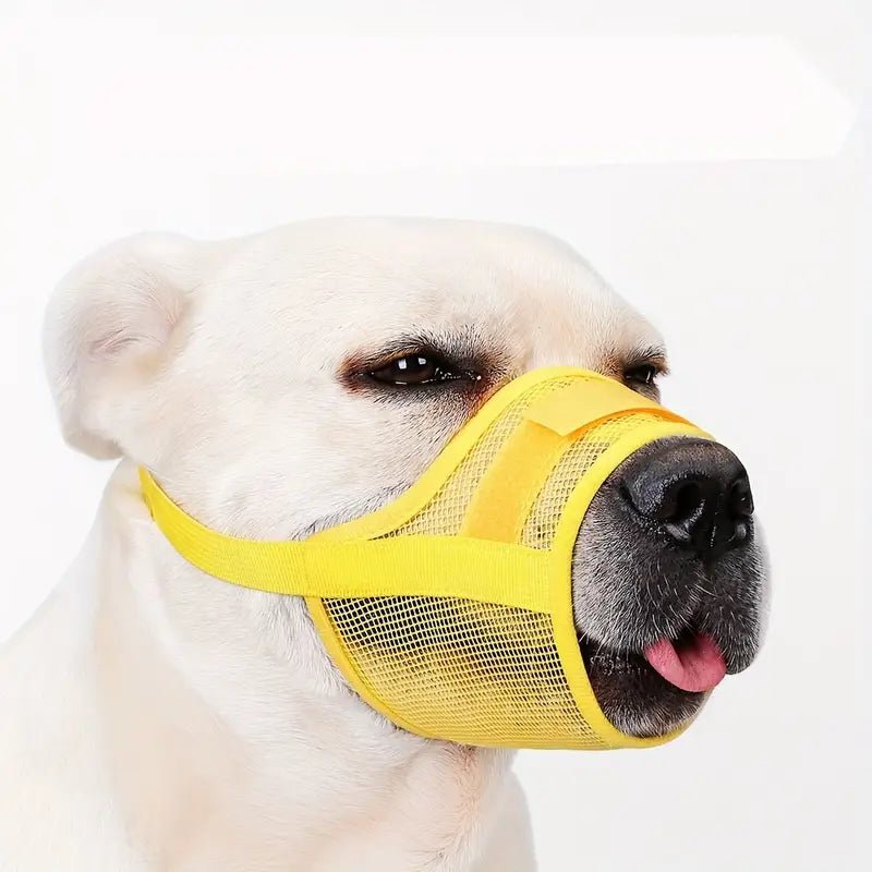 SafeGuard • Dog Muzzle - Dog Muzzle - BowLift