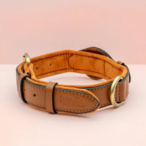 SafeTrack • Premium AirTag Dog Collar - Premium AirTag Dog Collar - BowLift