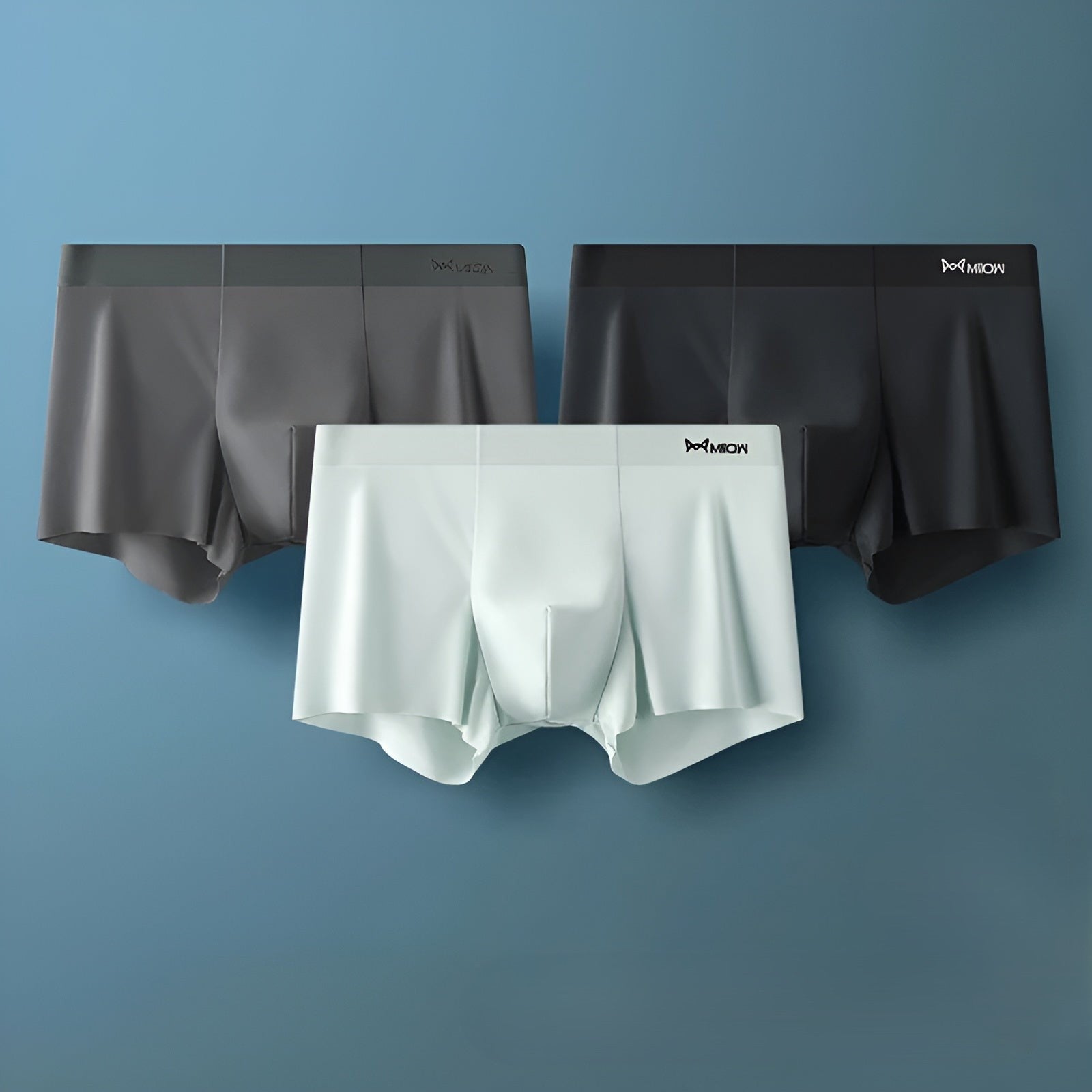 BowLift | Seamless Men's Boxers - Leo