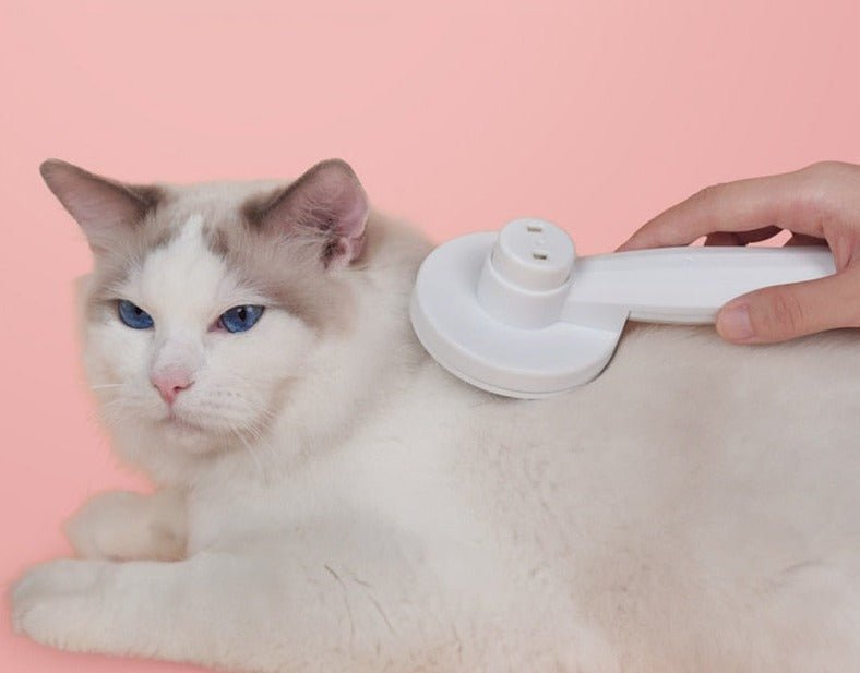 BowLift | GROOMCLICK – Self-Cleaning Cat Brush for Gentle Grooming & Less Shedding