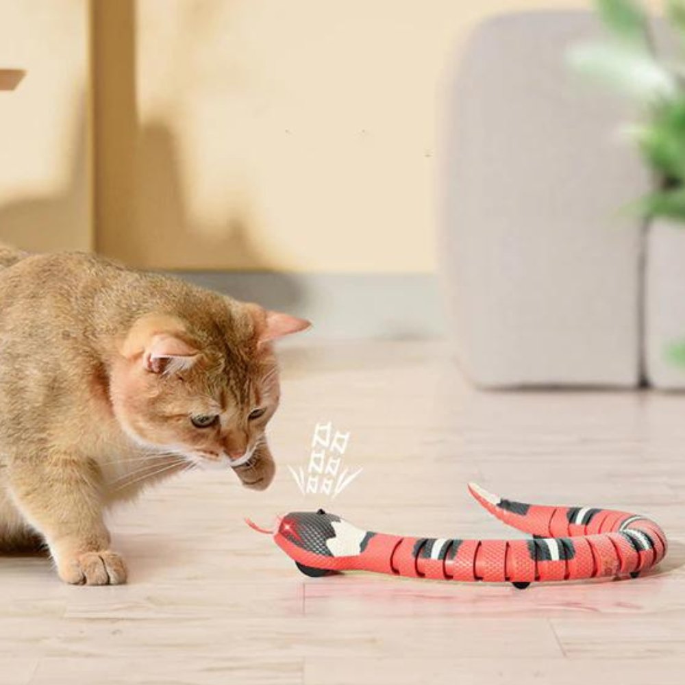 SerpentToy • Snake Cat Toy - Snake Cat Toy - BowLift