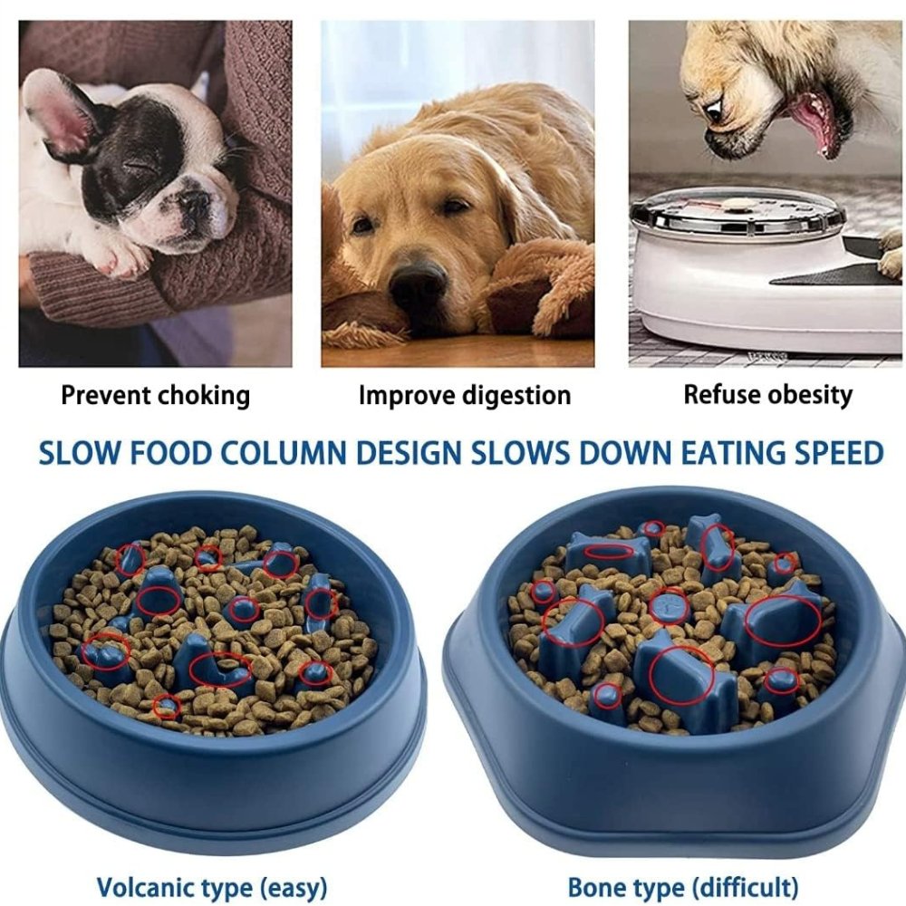 SlowBowl • Dog Feeding Bowl Slow - Dog Feeding Bowl Slow - BowLift