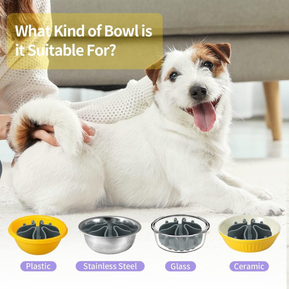 SlowMunch • Dog Feeding Bowl Slow - Dog Chew Toy - BowLift