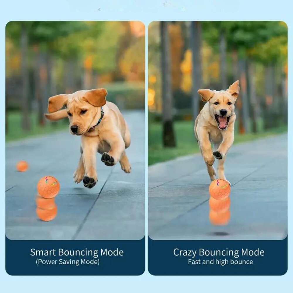 SmartBounce • Dog Toy Ball - Dog Toy Ball - BowLift