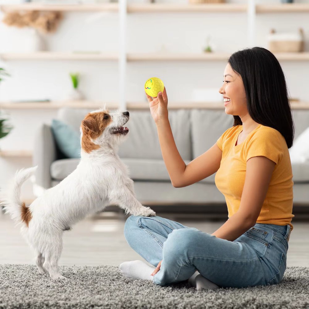 SmartBounce • Dog Toy Ball - Dog Toy Ball - BowLift